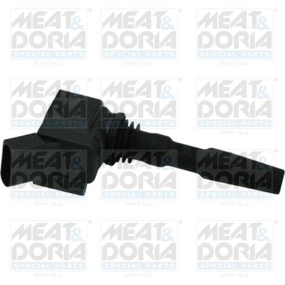 Ignition Coil 10599