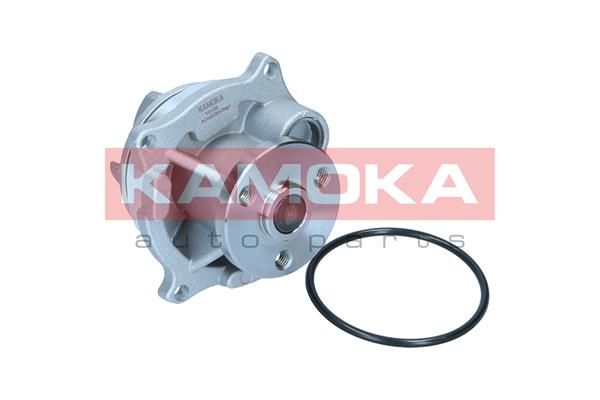 Water Pump, engine cooling T0129