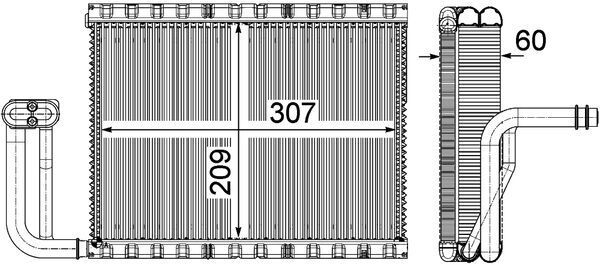 293592721.JPG