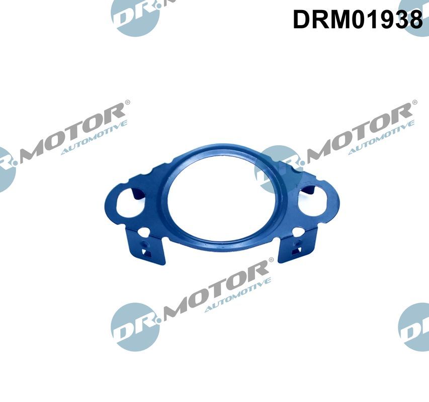 Dr.Motor Automotive DRM01938 - Dichtung, Leitung AGR-Ventil