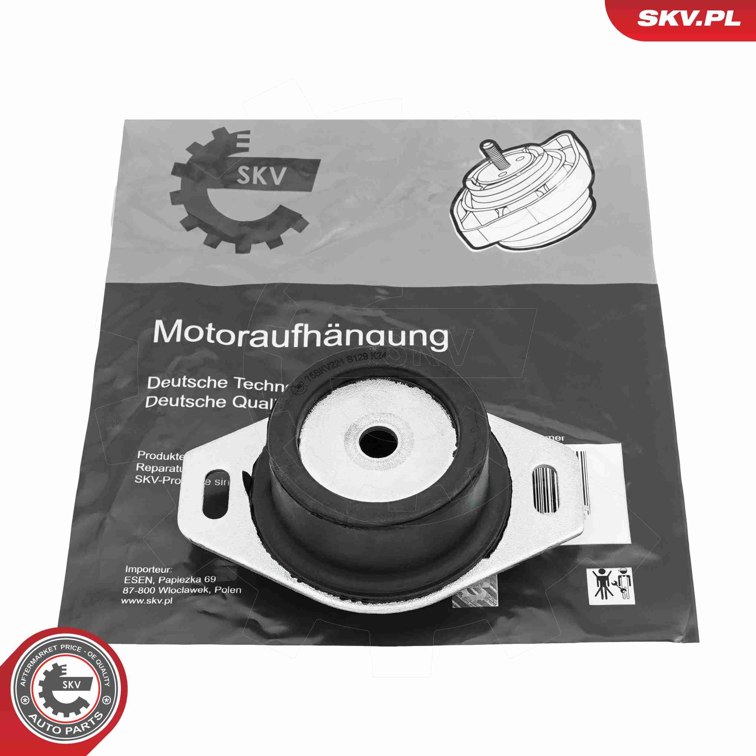 ESEN SKV 75SKV221 - Lagerung, Motor