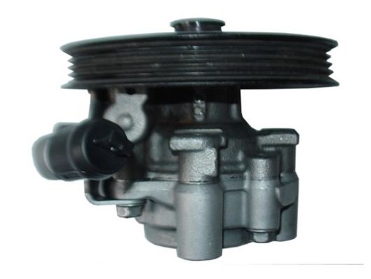 Hydraulikpumpe, Lenkung