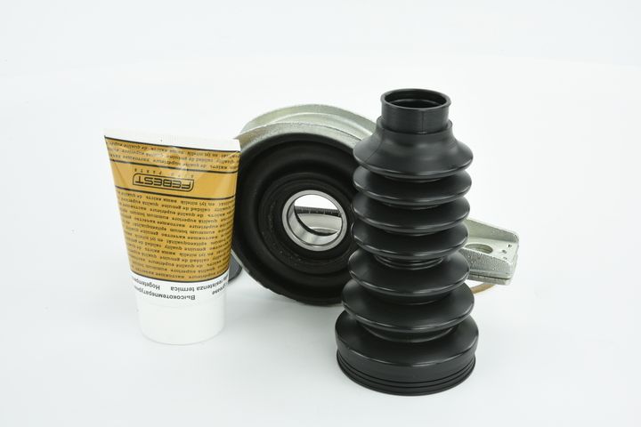 guolis, kardaninio veleno centrinis guolis