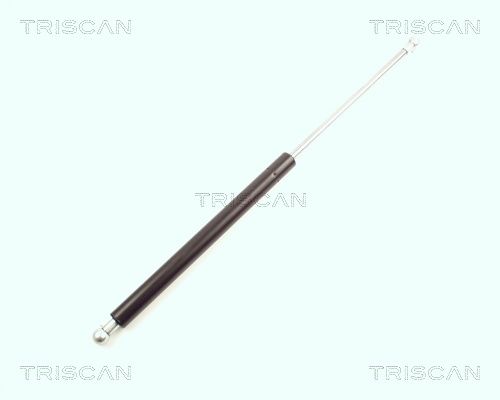 Triscan 8710 16216 Gasfeder, Koffer-/Laderaum