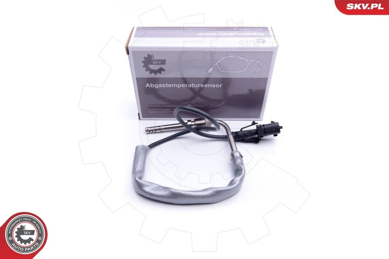 Sensor, Abgastemperatur