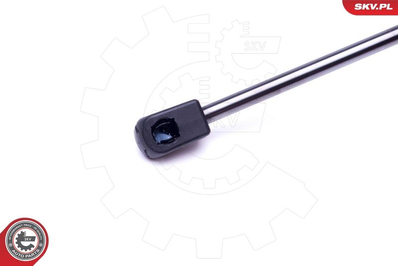 Gasfeder, Koffer-/Laderaum Gasfeder, Koffer-/Laderaum