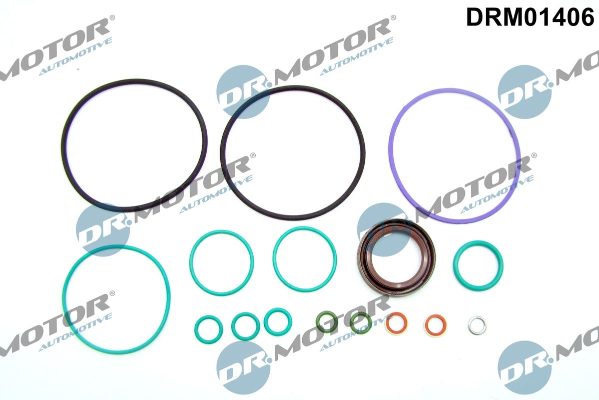 Dr.Motor Automotive DRM01406 - Reparatursatz, Kraftstoffpumpe