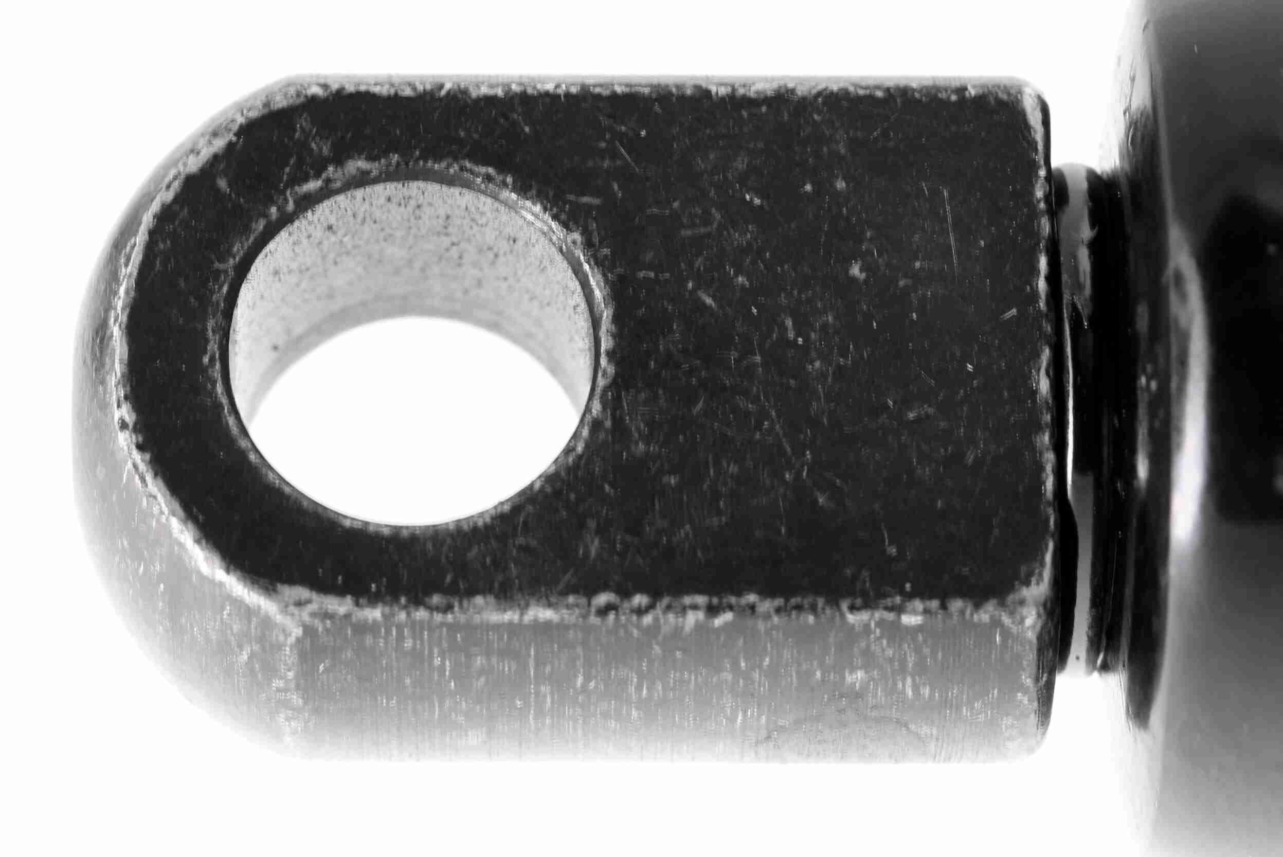 Gasfeder, Koffer-/Laderaum