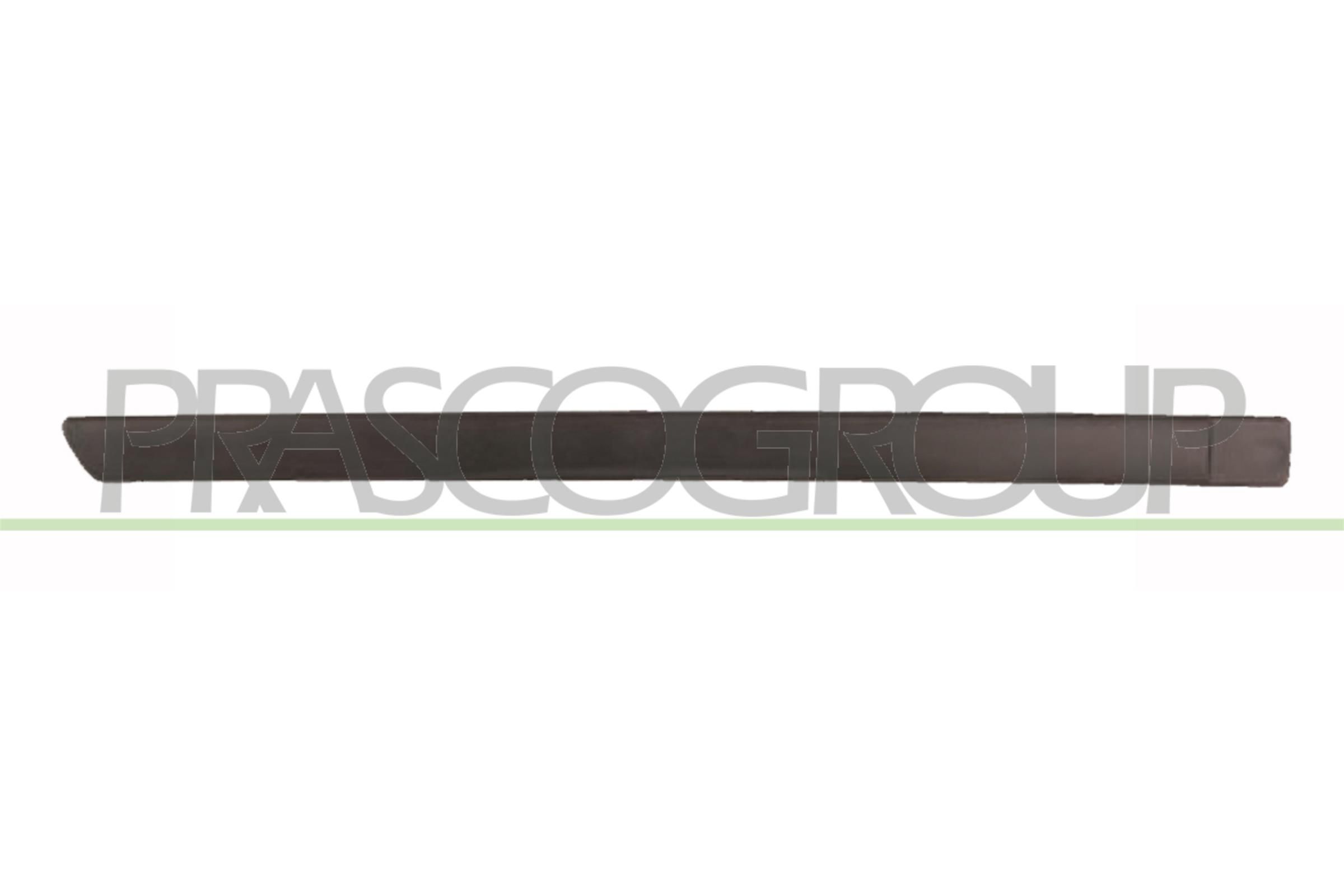 Zier-/Schutzleiste, T&uuml;r