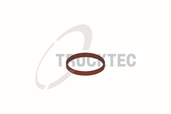 Dichtung, Ansaugkr&uuml;mmergeh&auml;use