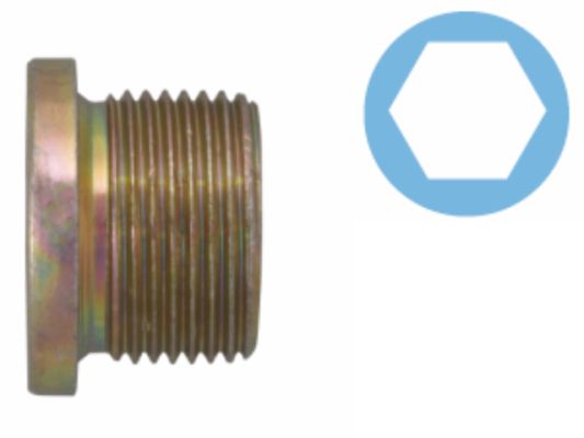 Screw Plug, oil sump 220107S