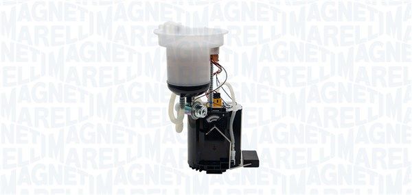 TPF_MAM00082M-WR.JPG