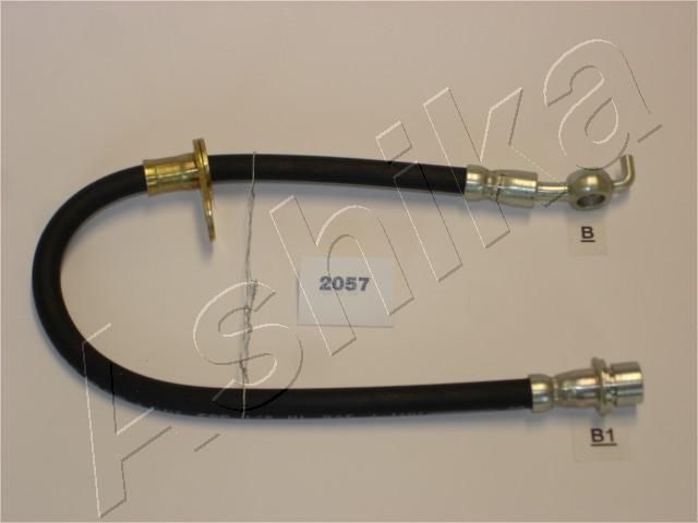 Halter, Bremsschlauch