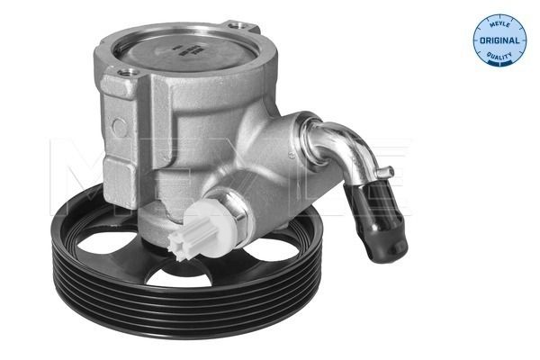 Hydraulikpumpe, Lenkung