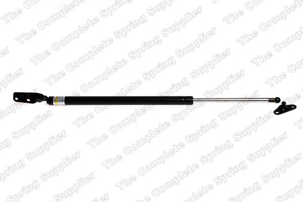 Gasfeder, Koffer-/Laderaum