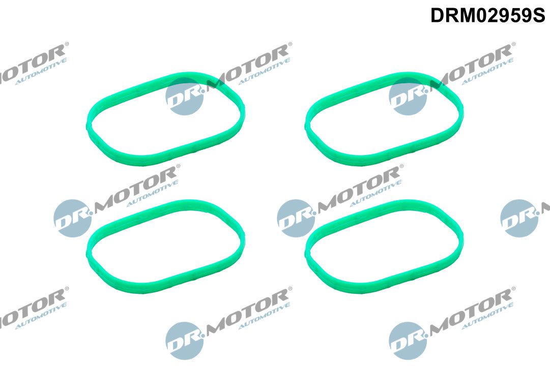 Dr.Motor Automotive DRM02959S Dichtungssatz, Ansaugkrümmer
