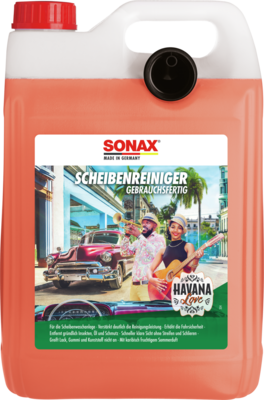 Reiniger, Scheibenwaschanlage