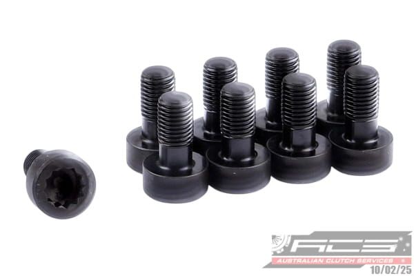 BOLT SET F/W PORS 10x1.25x19.5 (9) 73Nm - TecDoc Only