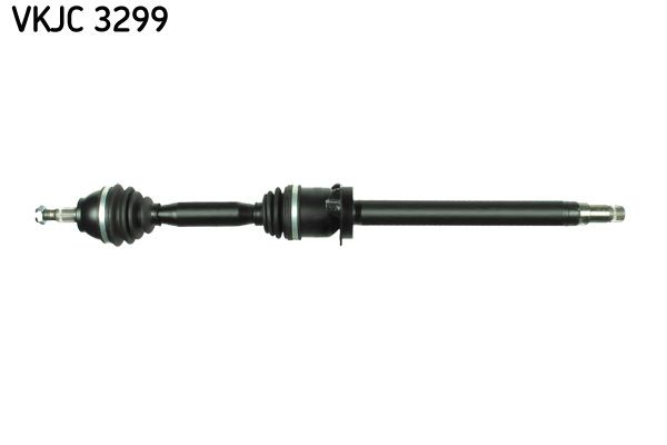 VKJC 3299.JPG