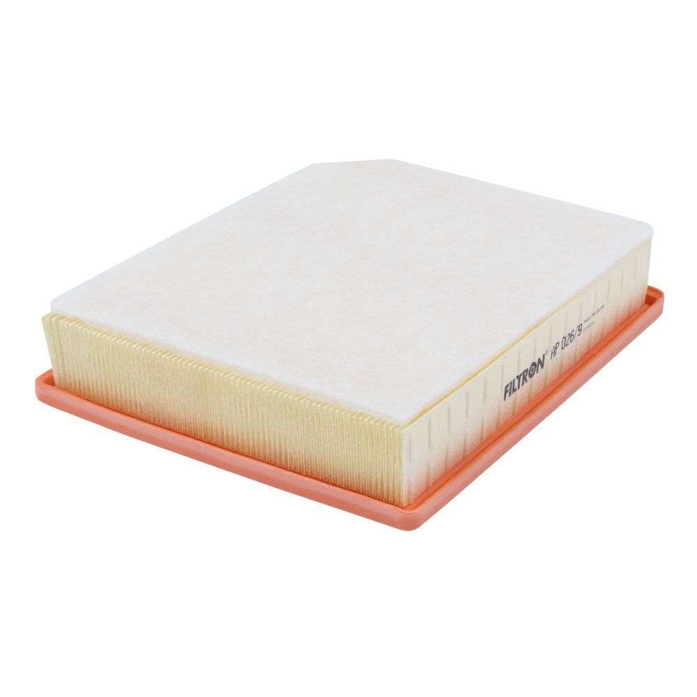 Filtron AP 026/9 Luftfilter