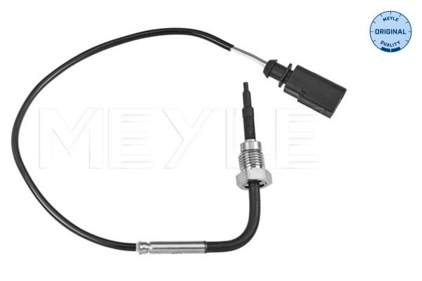 Sensor, Abgastemperatur