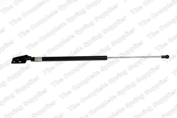 Gasfeder, Koffer-/Laderaum