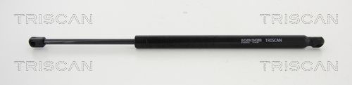 Gasfeder, Koffer-/Laderaum
