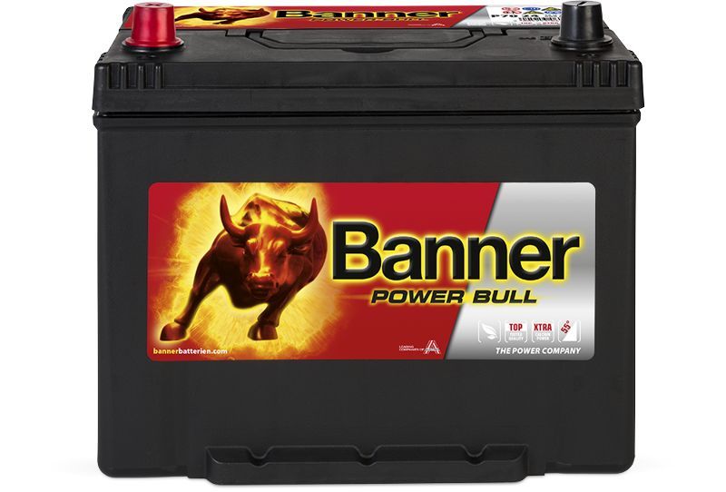 Starterbatterie