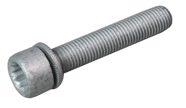 Schraube, Bremssattel