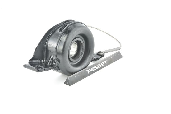 guolis, kardaninio veleno centrinis guolis