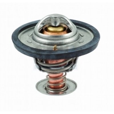 Thermostat, Kühlmittel
