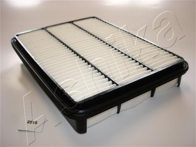 Air Filter 20-02-251