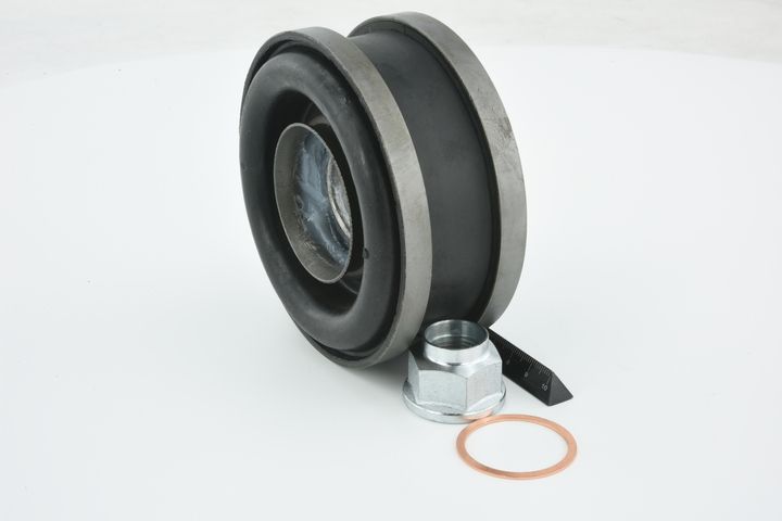 guolis, kardaninio veleno centrinis guolis