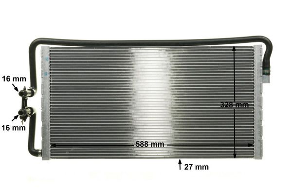 299871230.JPG