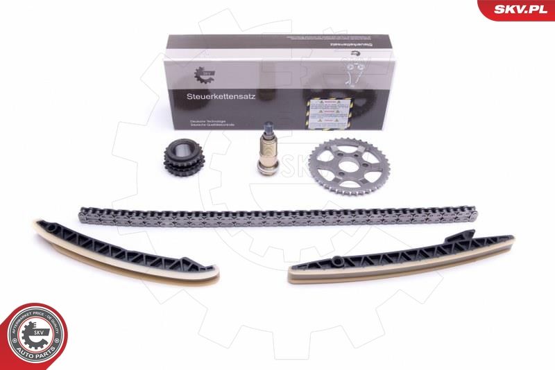 Timing Chain Kit 21SKV212