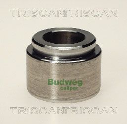 Kolben, Bremssattel