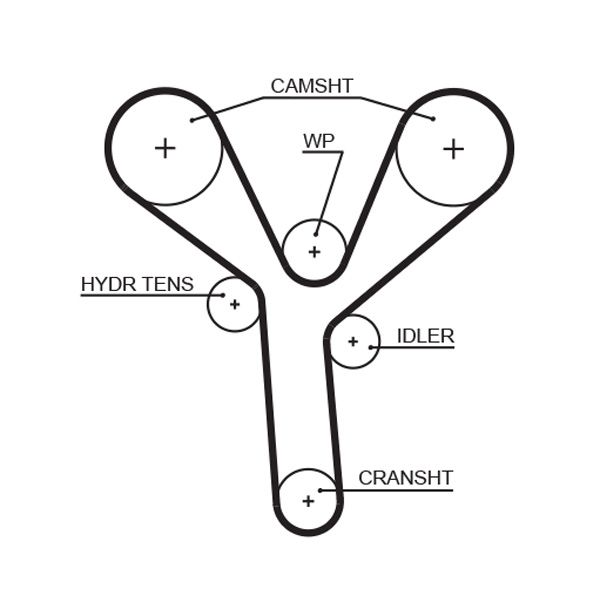 COURROIE DISTRIBUTION