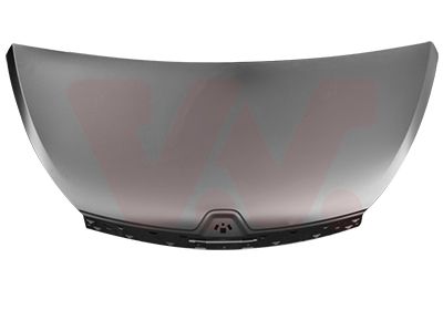 VAN WEZEL 4396660 - Motorhaube