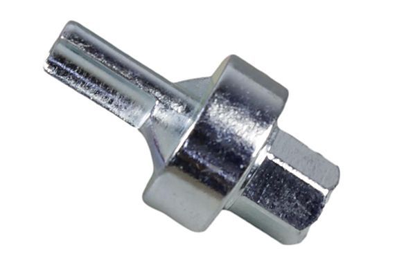 Steckschl&uuml;sseleinsatz, &Ouml;lablassschraube