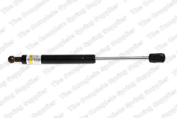 Gasfeder, Koffer-/Laderaum