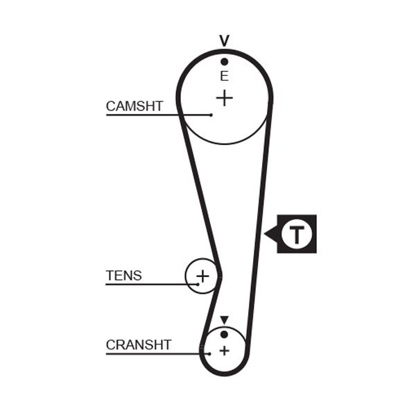 Timing Belt 5318XS