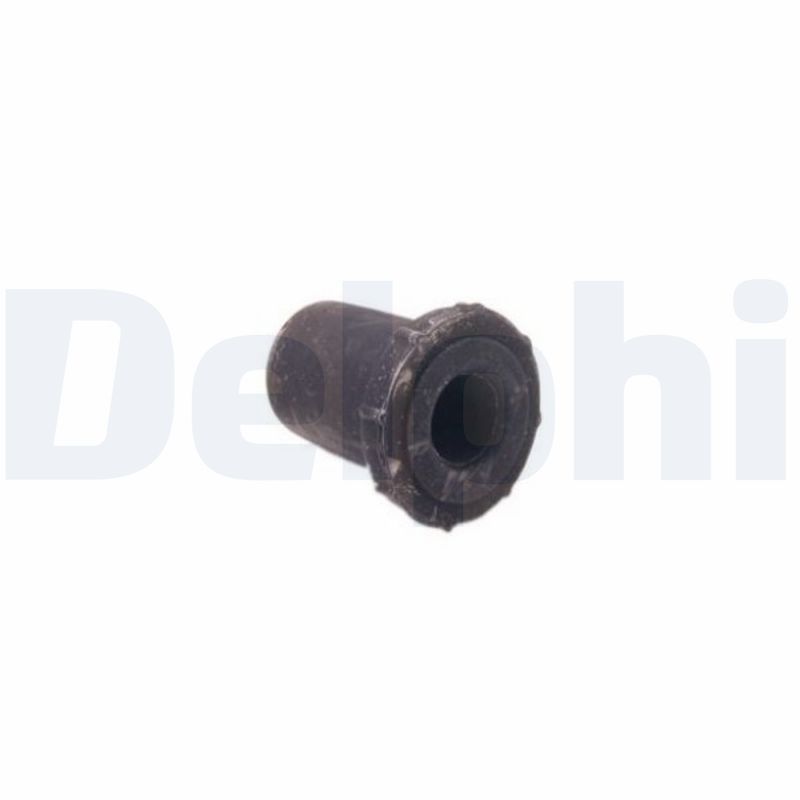 DELPHI TD2054W - Lagerung, Blattfeder
