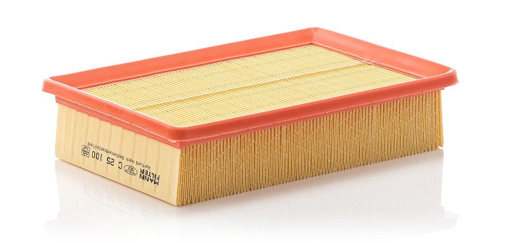 MANN-FILTER C 25 100 - Luftfilter