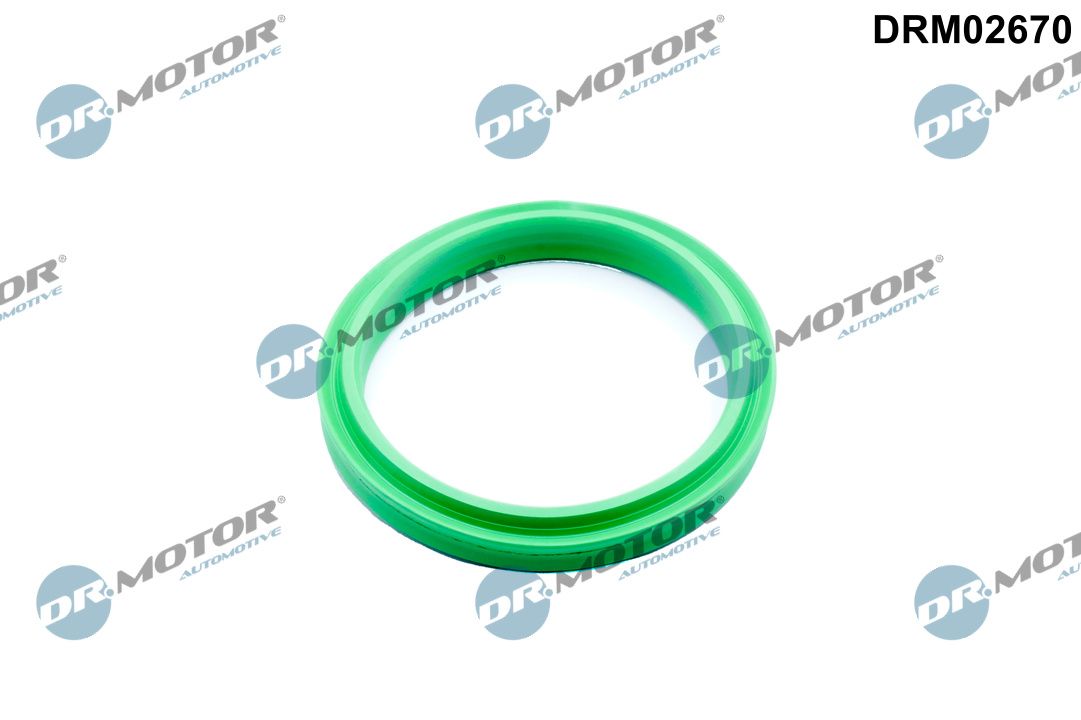 Dr.Motor Automotive DRM02670 Dichtring, Ladeluftschlauch