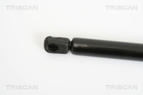 Triscan 8710 18213 Gasfeder, Koffer-/Laderaum