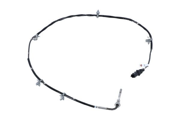 Sensor, Abgastemperatur Sensor, Abgastemperatur