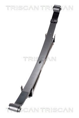 TRISCAN 8765 69002 Spring Pack