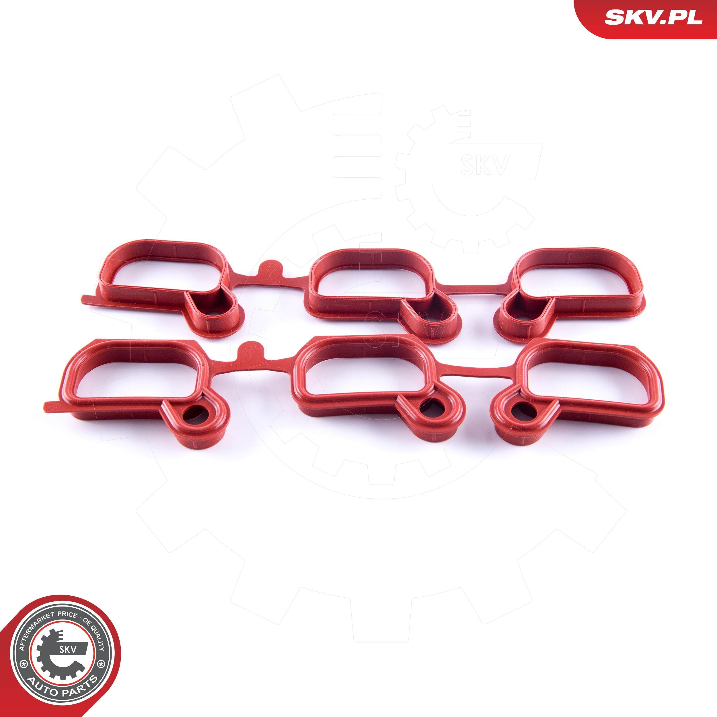 ESEN SKV 49SKV651 - Reparatursatz, Saugrohrmodul