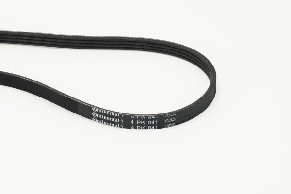 CONTINENTAL CTAM 4PK841 V-Ribbed Belt