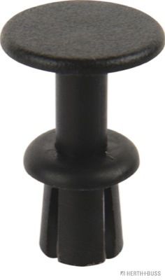 Clip, Zier-/Schutzleiste